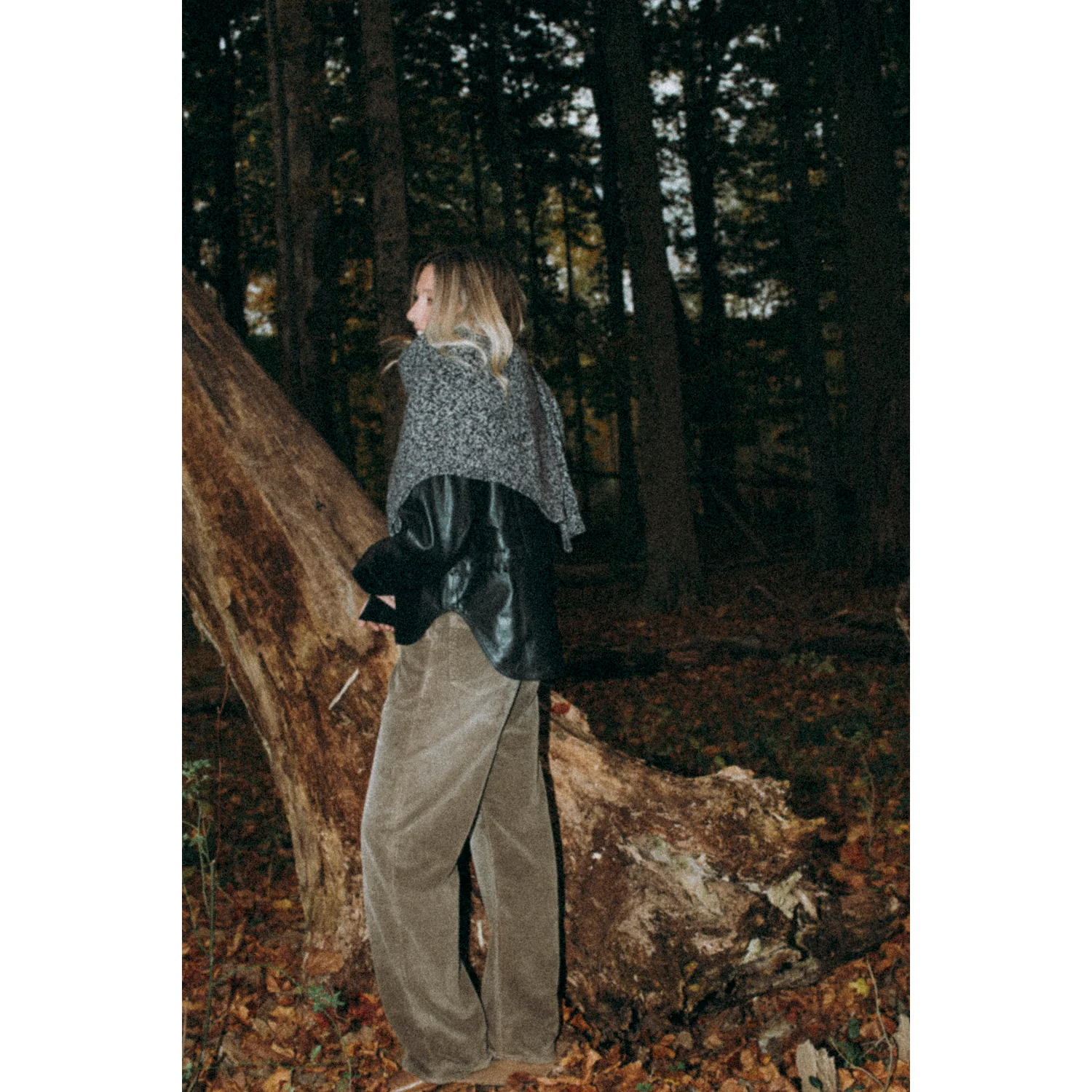 Proche Leather Olivia Jacket in Black - Image 8