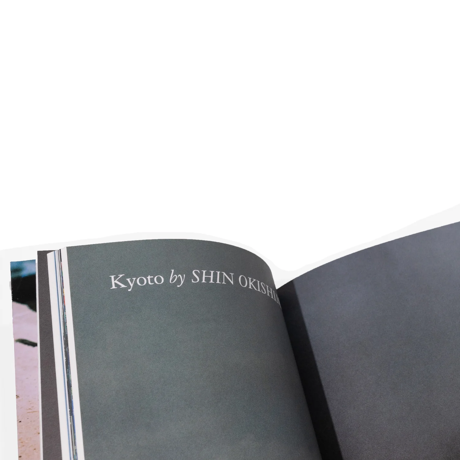 The Skirt Chronicles Vol. VIII - Image 3